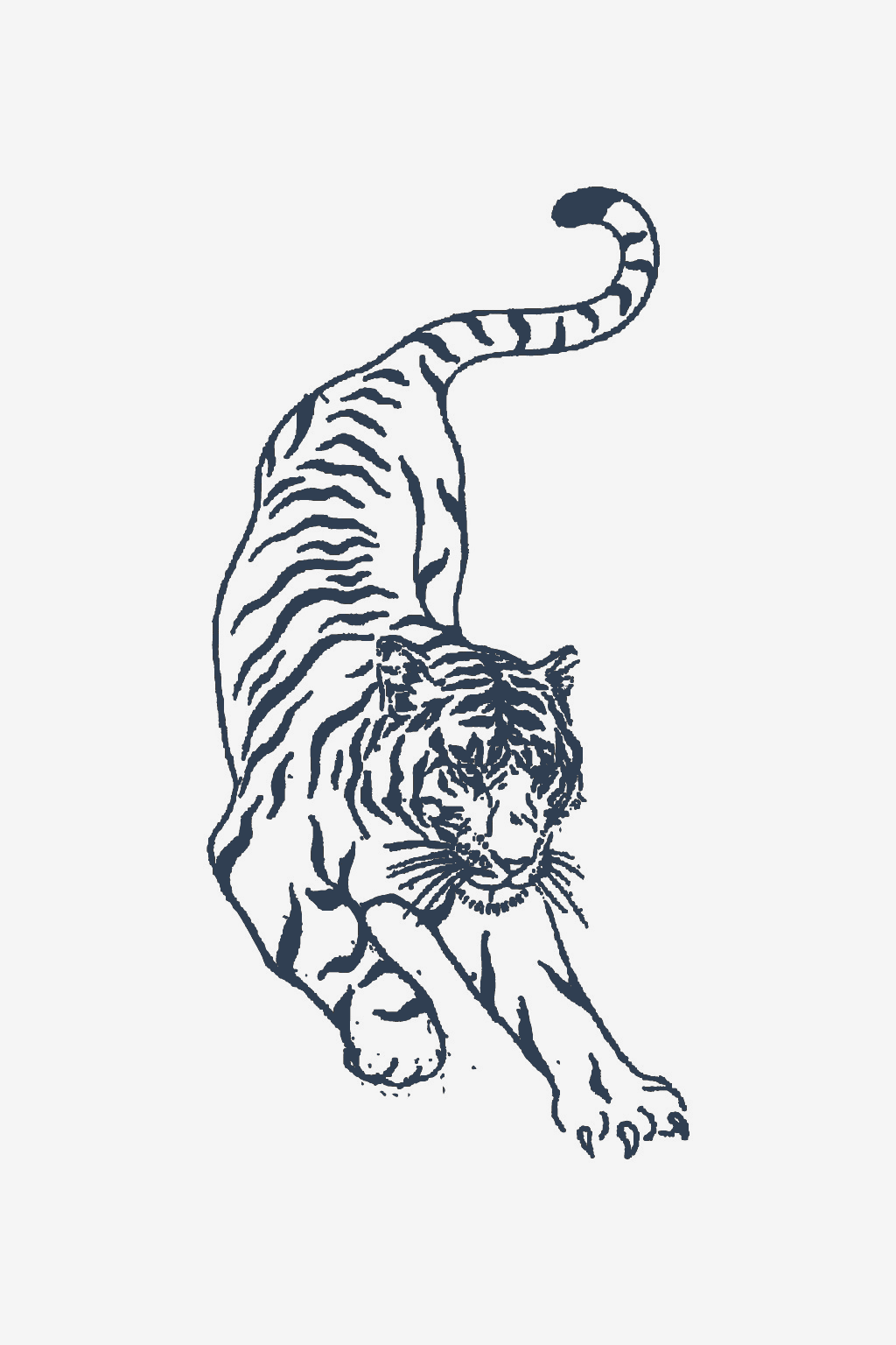 Forță Felină