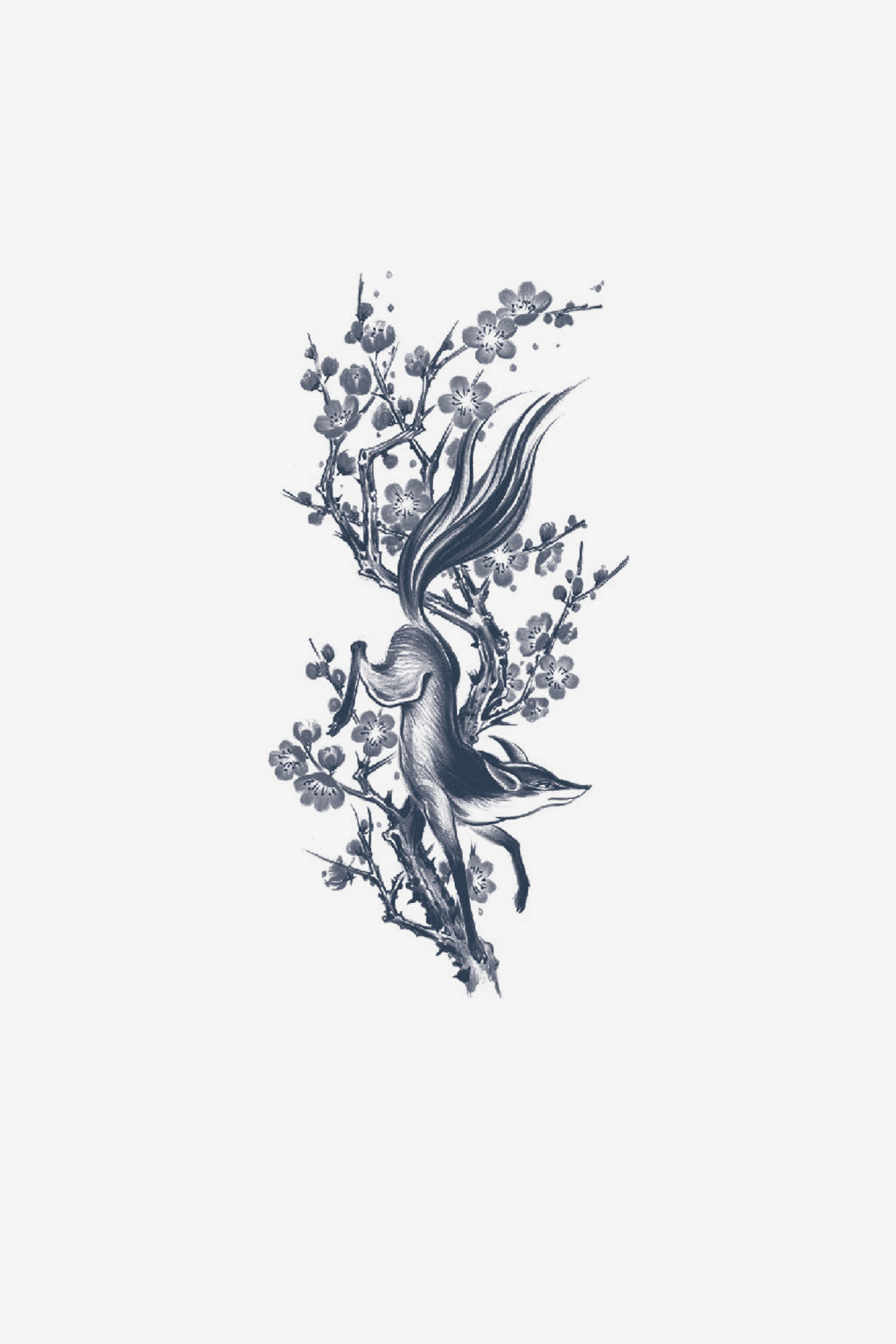 Vulpita