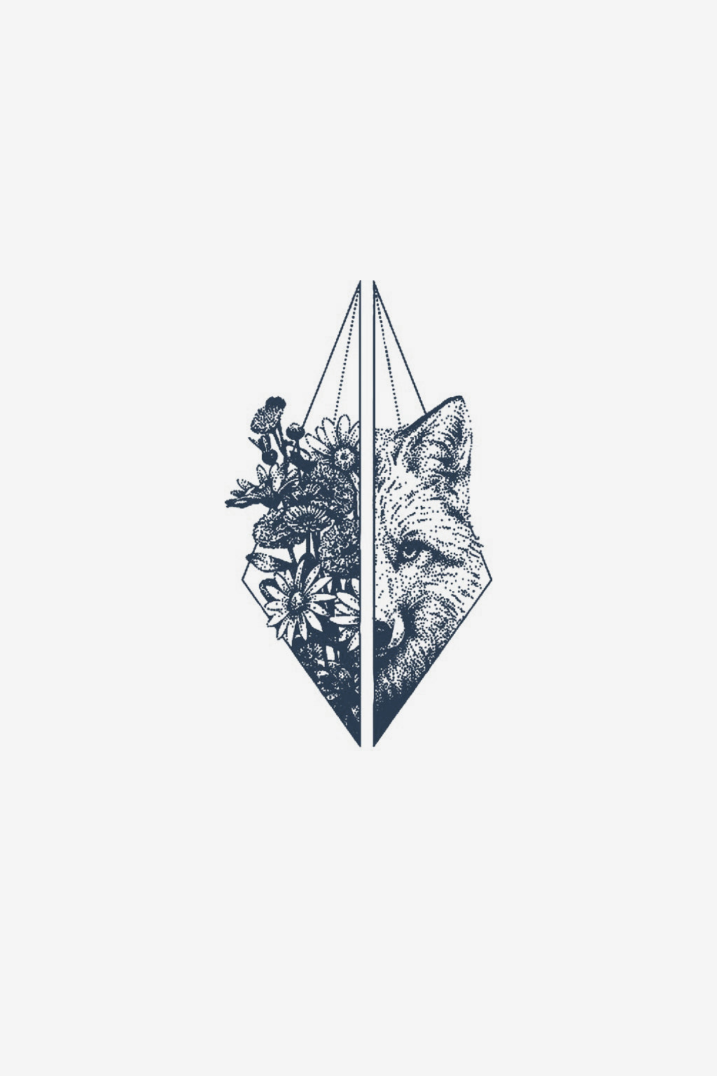 Vulpe
