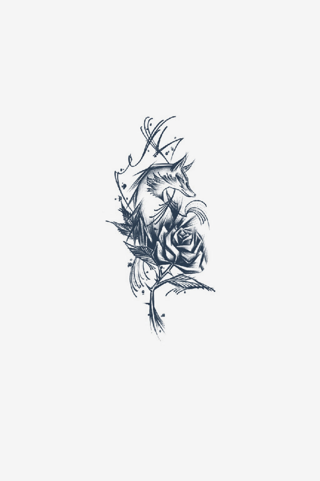 Vulpe