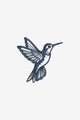 Pasarea colibri