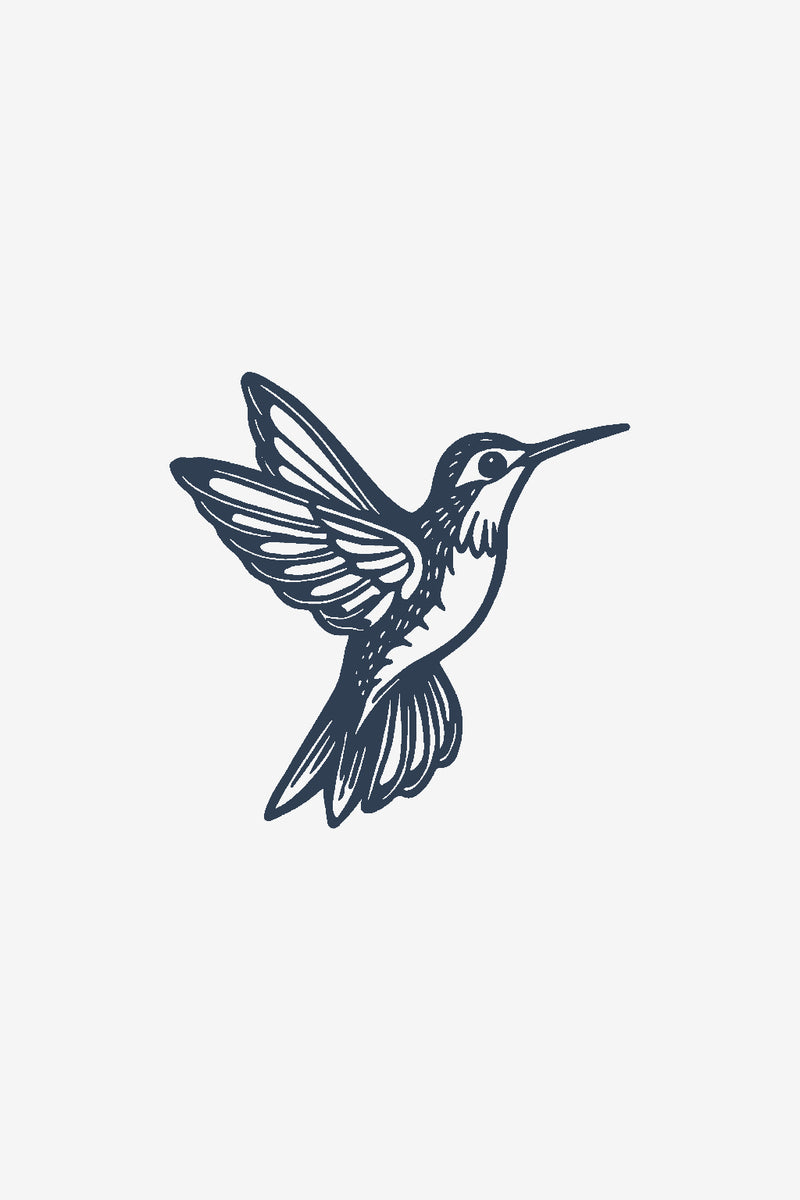 Pasarea colibri