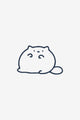 Fluffy cat