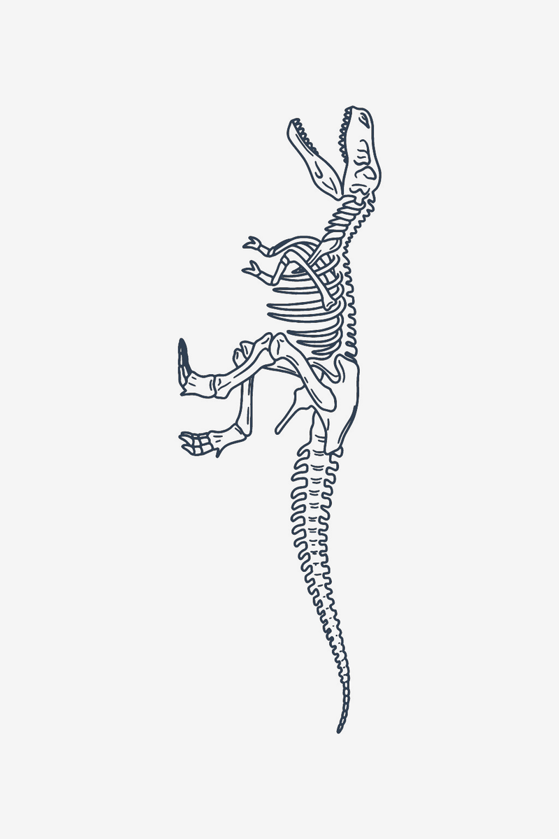 Schelet T-Rex