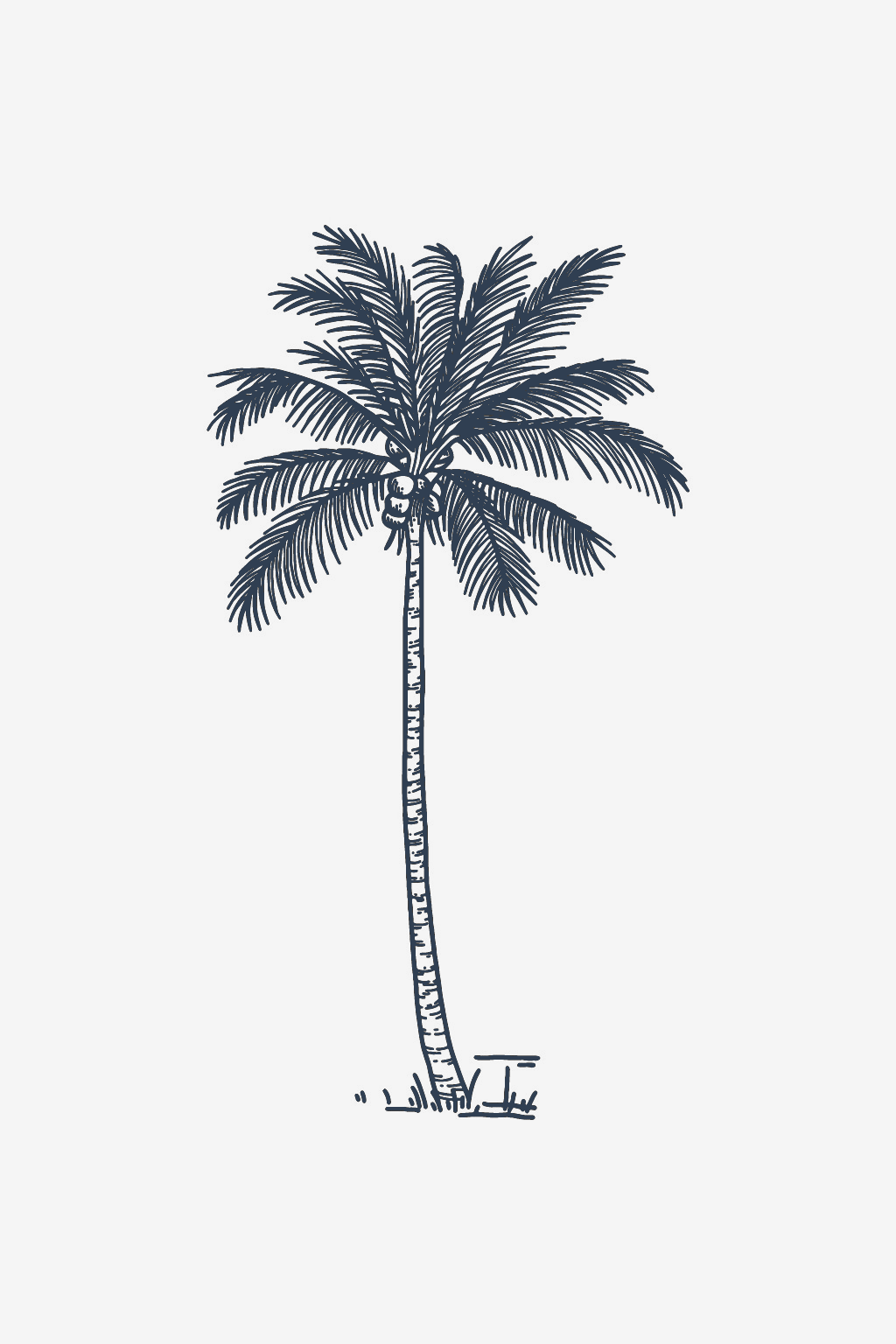 Cocotier