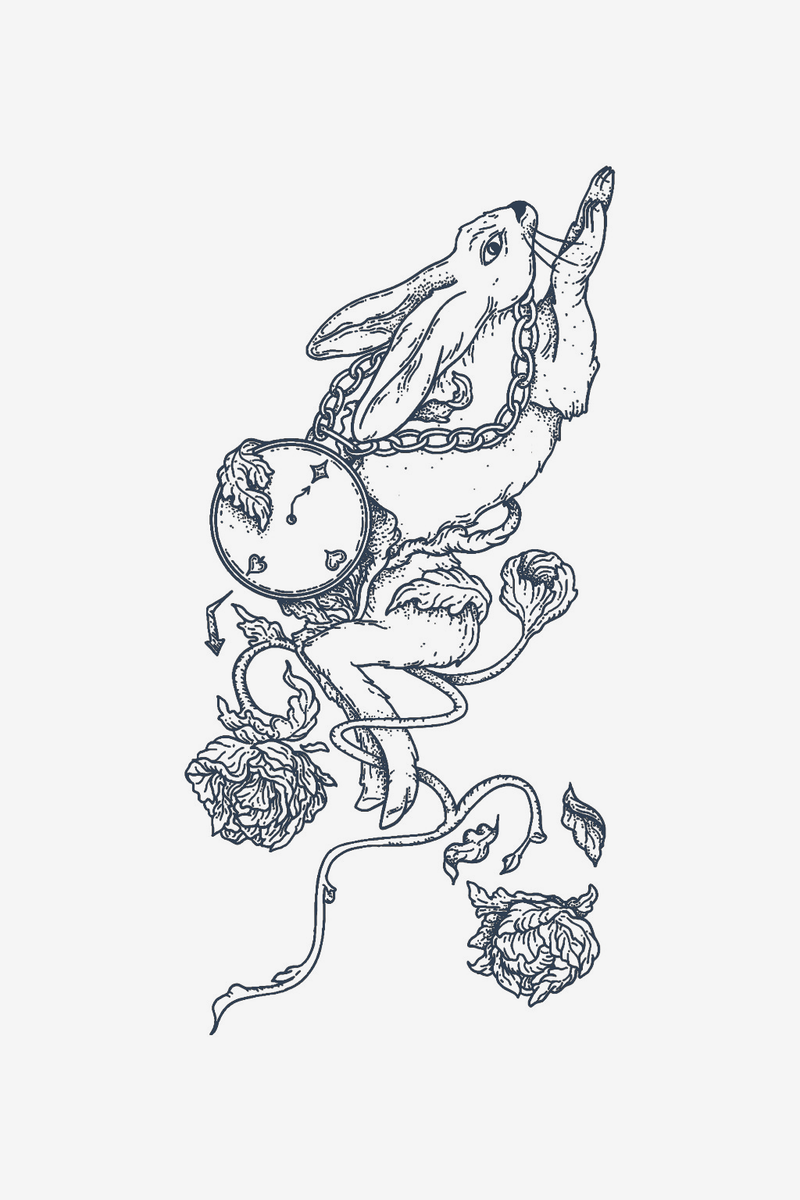 The Rabbit