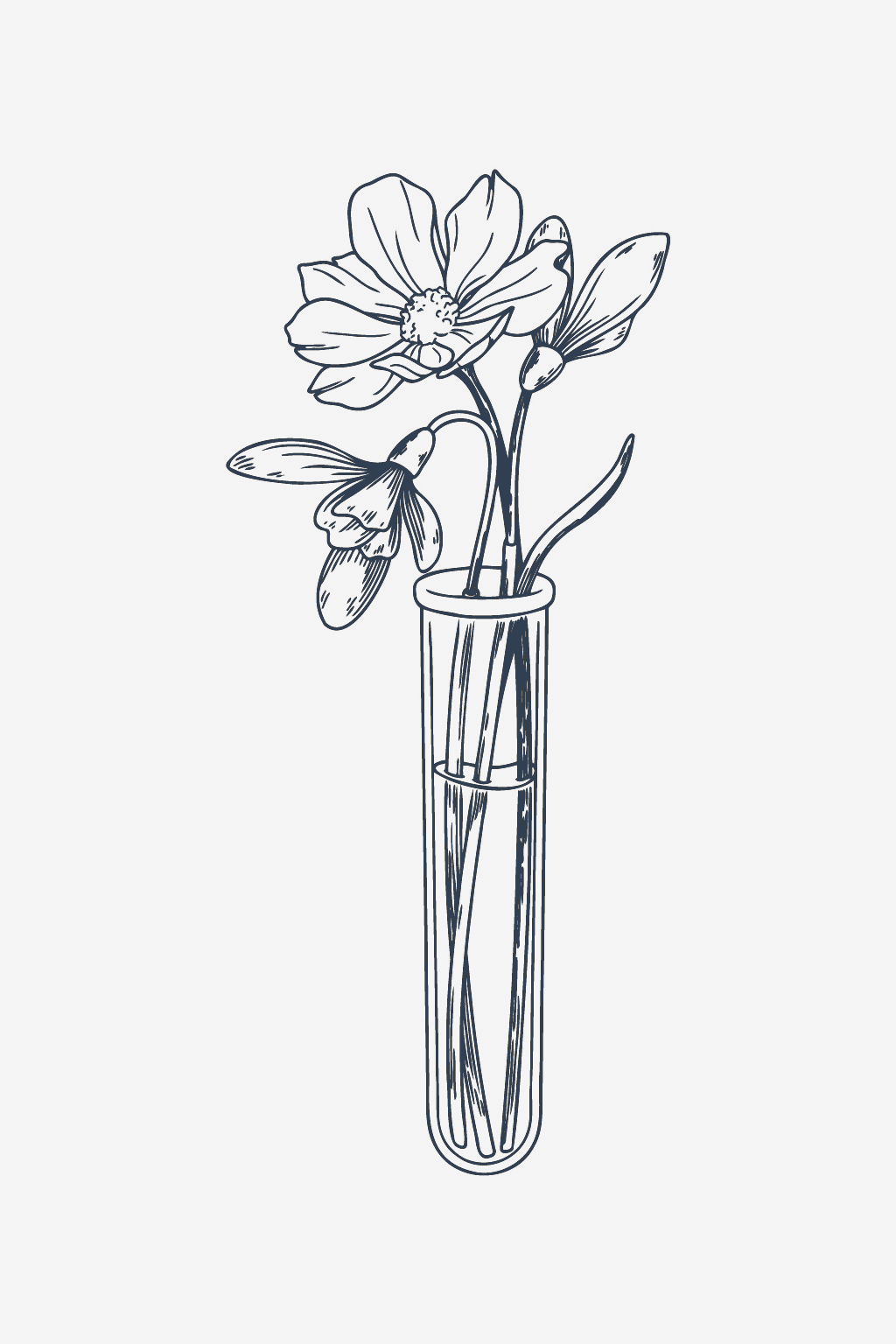 Studiu Floral
