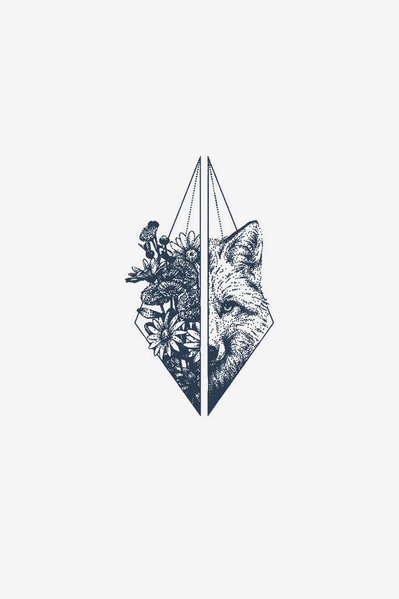 Vulpe